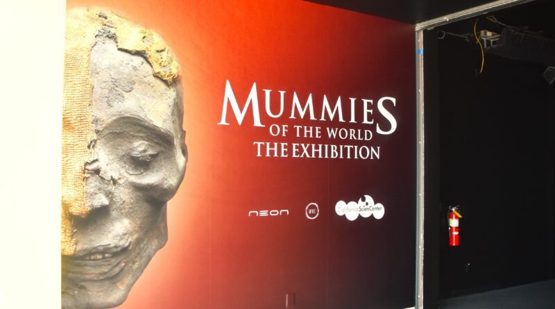 2,000-Year-Old Mummies Are Revealing to Researchers Ancient Medical Practices that Could Save Lives Today